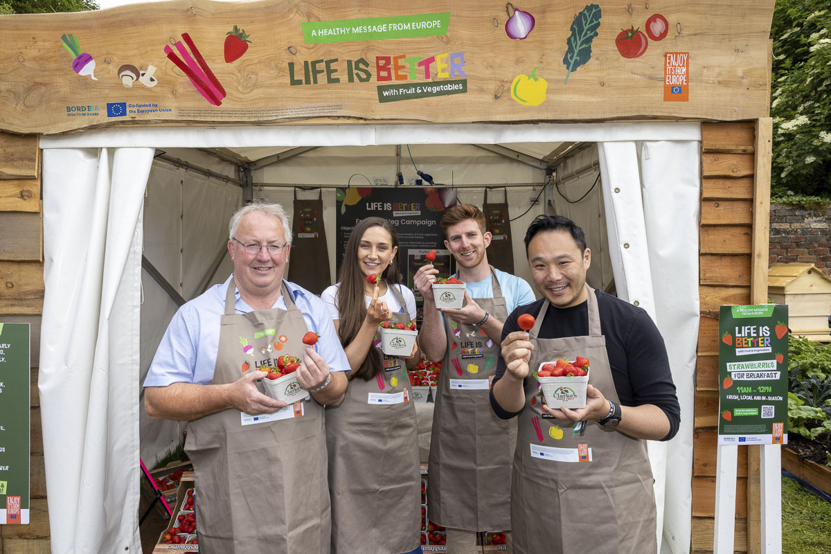 BORD BIA’s THREE YEAR CAMPAIGN KICKS OFF AT IRELAND’S BOUTIQUE FESTIVAL, BODY & SOUL