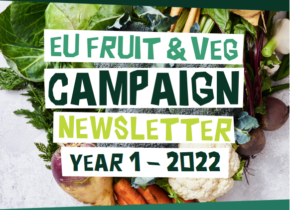 Year 1 Campaign Review