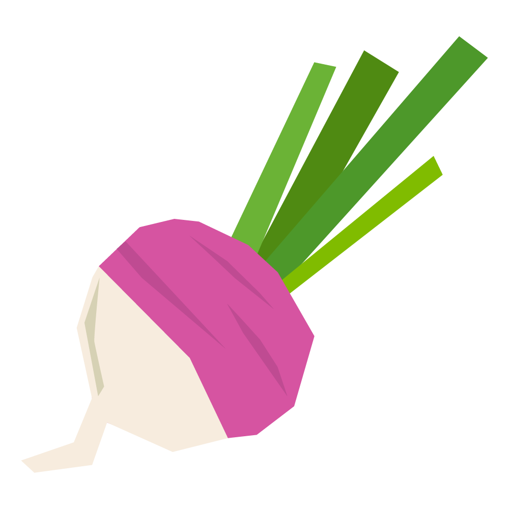 Set